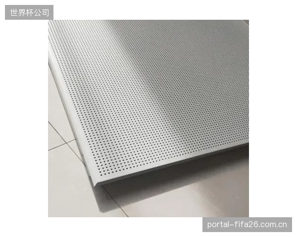 体育馆的语言清晰度(STI)正被重新估价,侧墙穿孔铝板的吸音性能测量直接关联现场广告与赞助信息的有效传达 体育馆的语言清晰度(STI)正被重新估价,侧墙穿孔铝板的吸音性能测量直接关联现场广告与赞助信息的有效传达